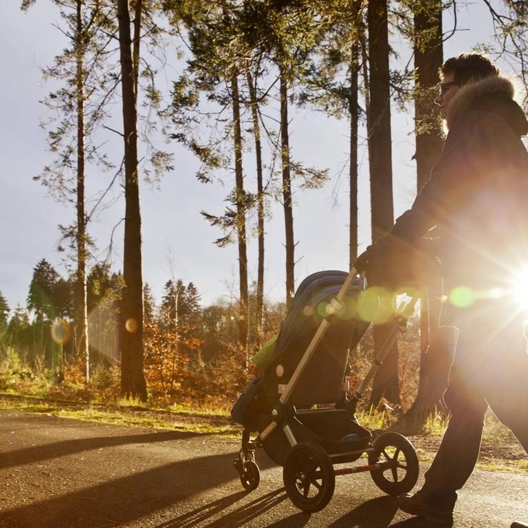 Father and son in buggy on a walk in forest model released Symbolfoto PUBLICATIONxINxGERxSUIxAUTxHUNxONLY MFF03364 Father and Sun in Buggy ON a Walk in Forest Model released Symbolic image PUBLICATIONxINxGERxSUIxAUTxHUNxONLY MFF03364