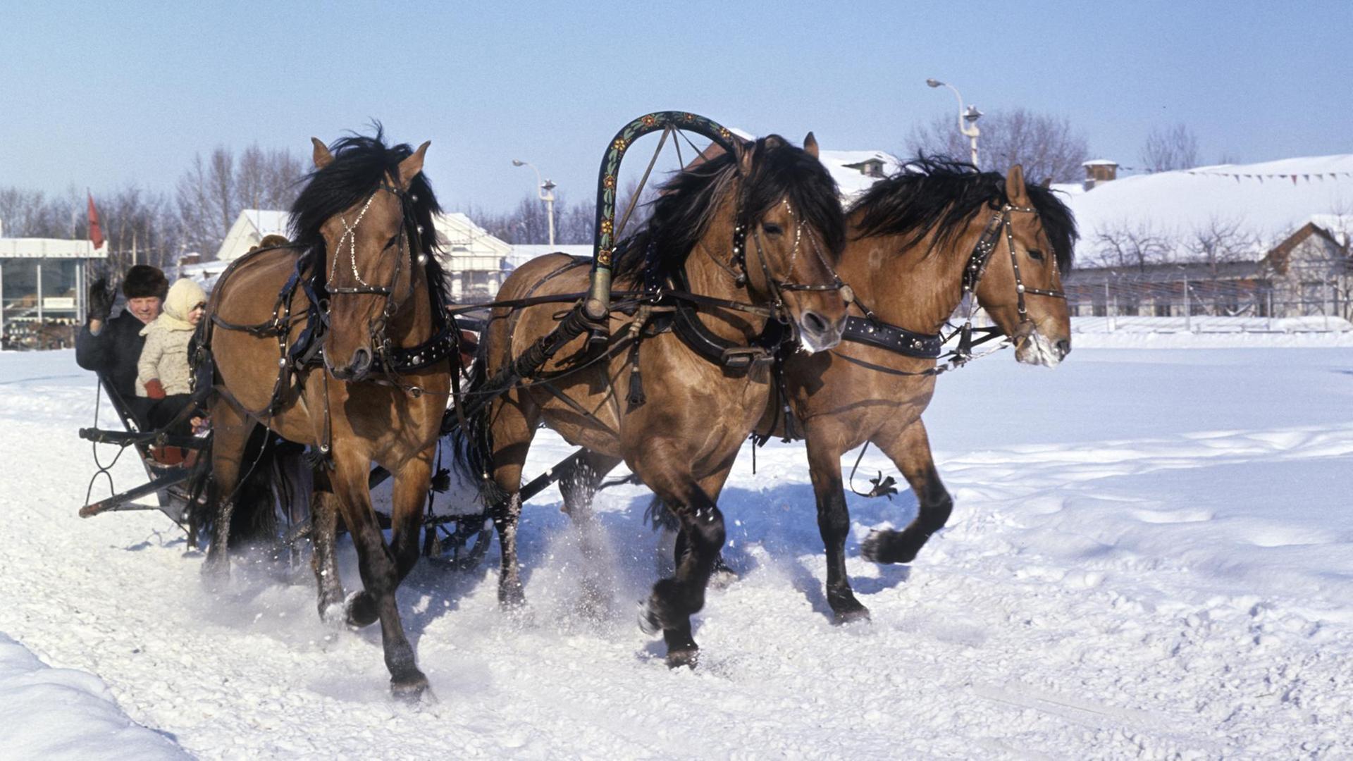 Eine russische Troika beim "Farewell to the Russian Winter"-Festival im Jahr 1969
