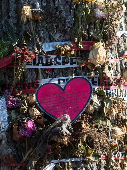 Blumen und Trauerschmuck hängen am 05.12.2016 in Freiburg (Baden-Württemberg) an einem Baum an der Dreisam. Ein unbegleiteter minderjähriger Flüchtling wird verdächtigt, dort eine 19 Jahre alte Studentin umgebracht zu haben.