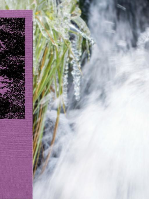 Im Vordergrund das Buchcover zu Annie Dillards "Pilger am Tinker Creek", im Hintergrund ein rauschender Bach mit vereistem Ufer.