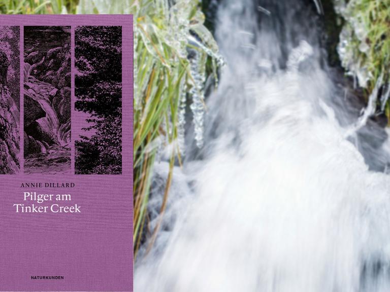 Im Vordergrund das Buchcover zu Annie Dillards "Pilger am Tinker Creek", im Hintergrund ein rauschender Bach mit vereistem Ufer.