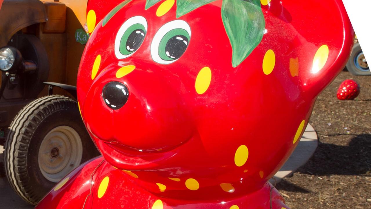 Ein Maskottchen von Karls Erdbeerhof