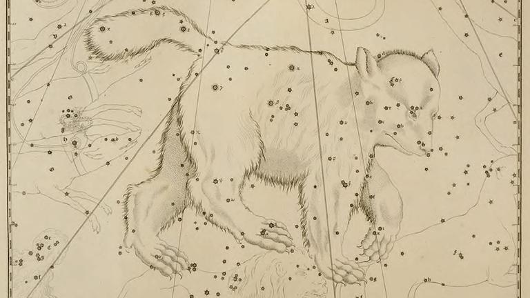Der Große Bär, dargestellt in der "Uranographia Britannica" 