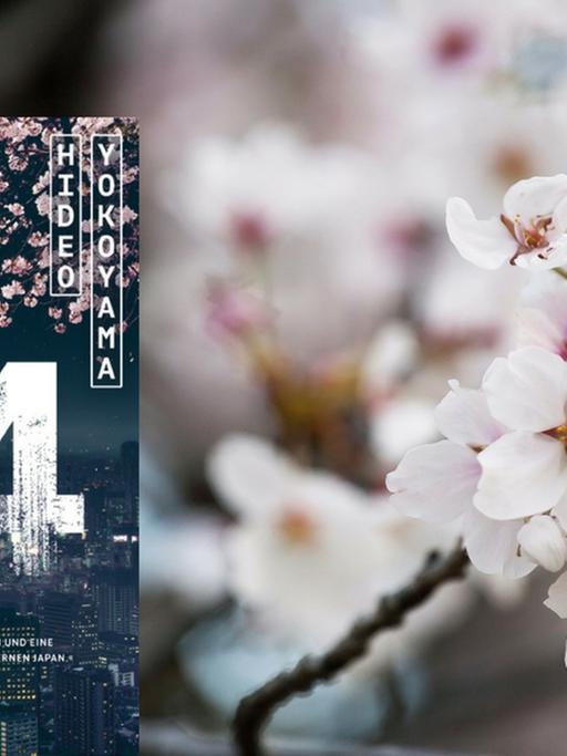 Das Buchcover von Hideo Yokoyama: "64" und Kirschblüten im Hintergrund