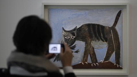 Der Maler Picasso hat viele Bilder von Tieren gemalt. Auch von Katzen, so wie dieses hier mit dem Titel: "Chat saisissant un oiseau" (Vogelfangende Katze) .