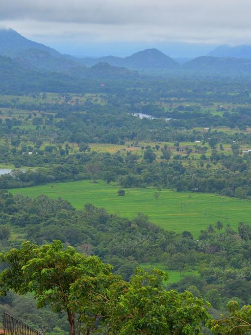 Rundumblick vom Sigiriya-Felsen in Sri Lanka.