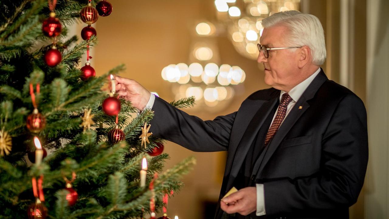 Bundespräsident Frank-Walter Steinmeier steht neben einem Weihnachtsbaum