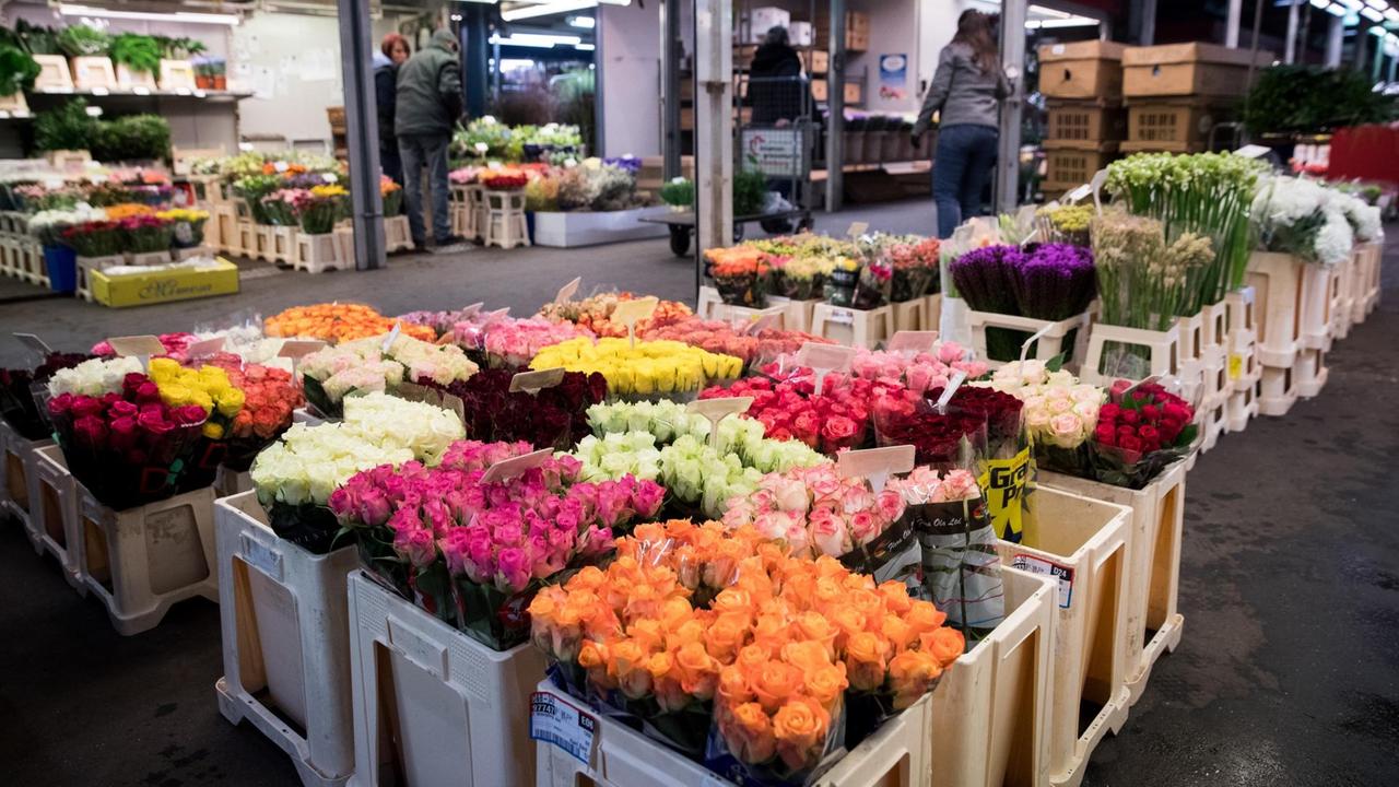 Schnittblumen stehen in großen Eimern an einem Verkaufsstand beim Großmarkt.