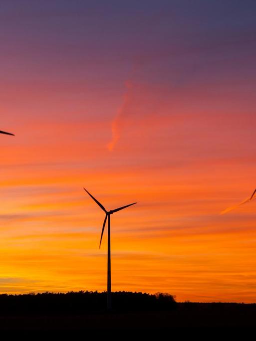 DEU/Deutschland/Brandenburg/Wormlage, 07.01.2014: Windenergie in Brandenburg; Windraeder stehen auf einem Feld bei Wormlage in der brandenburgischen Lausitz vor dem vom Sonnenuntergang rot gefaerbten Abendhimmel. // Wind engines on a field near Wormlage in Brandenburg. // **Foto: Andreas Franke** | Verwendung weltweit