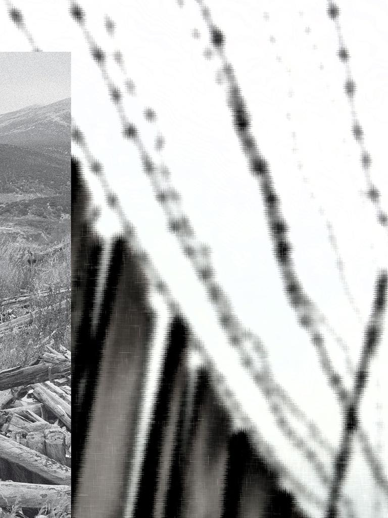 Im Vordergrund das Cover von Warlam Schalamows "Über die Kolyma", im Hintergrund ein Holzbretterzaun und Stacheldraht eines ehemaligen sowjetischen Straflagers.