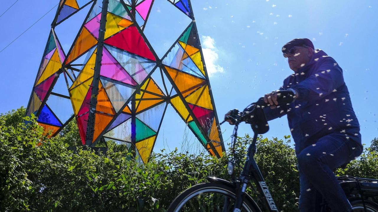 Ein älterer Fahrradfahrer fährt durch einen Insektenschwarm auf einem Radweg an der Ruhr in Essen-Überruhr vor einem bunten Strommast, der mit farbigen Plexiglasscheiben gestaltet wurde.