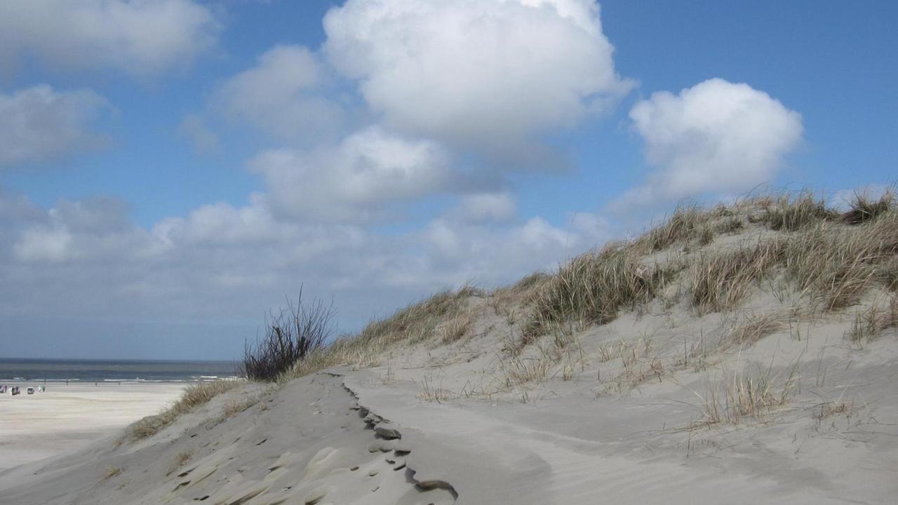 Dünen und Sandstrand an der Nordküste der Insel Norderney