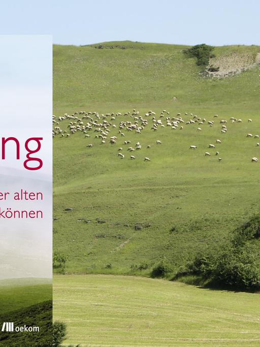 Cover von "Mäßigung" vor einem grünen Hügel mit Schafen.