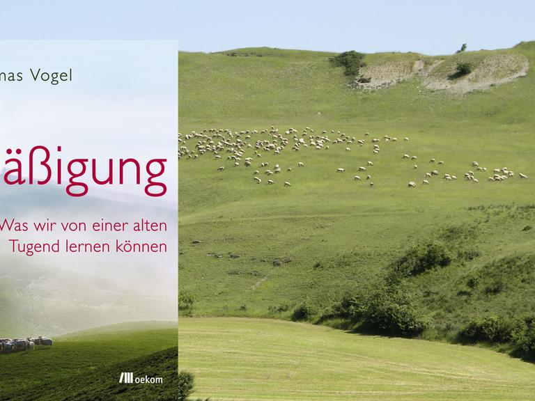 Cover von "Mäßigung" vor einem grünen Hügel mit Schafen.