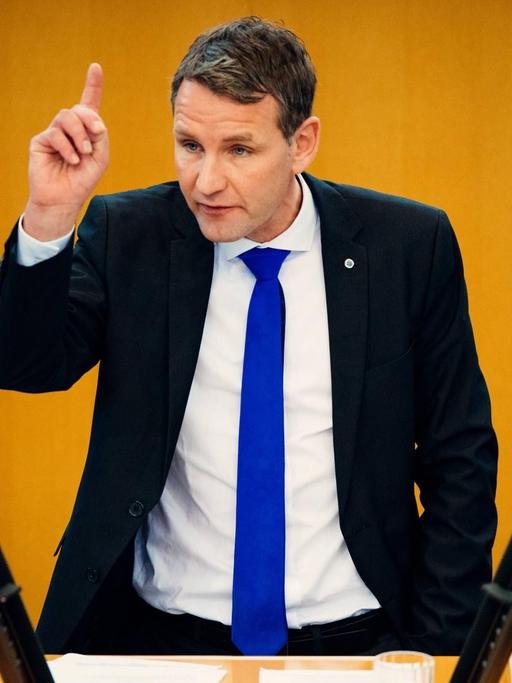 Der AfD-Politiker Björn Höcke.