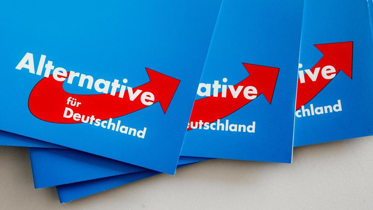 Das Logo der Alternative für Deutschland (AfD) ist am 10.09.2016 in Rendsburg (Schleswig-Holstein) auf dem Landesparteitag der AfD auf Parteibroschüren zu sehen.