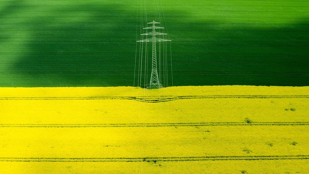 Ein Mast einer Hochspannungsleitung steht am 07.05.2015 zwischen einem gelb blühenden Raspfeld und einem grünen Feld.