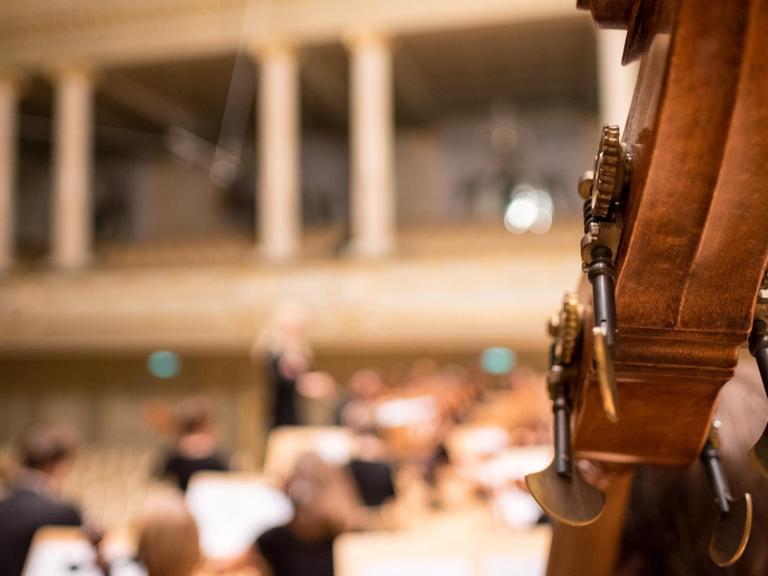 Verschwommen lässt sich im Hintergrund ein Orchester erahnen. Davor der Hals eines Instruments.