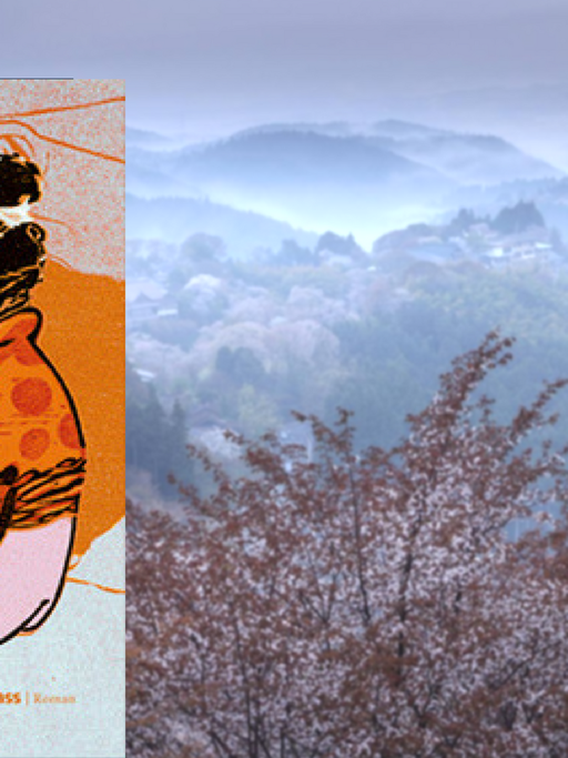 Buchcover "Der Schlüssel" von Junichiro Tanizaki, im Hintergrund eine japanische Berglandschaft