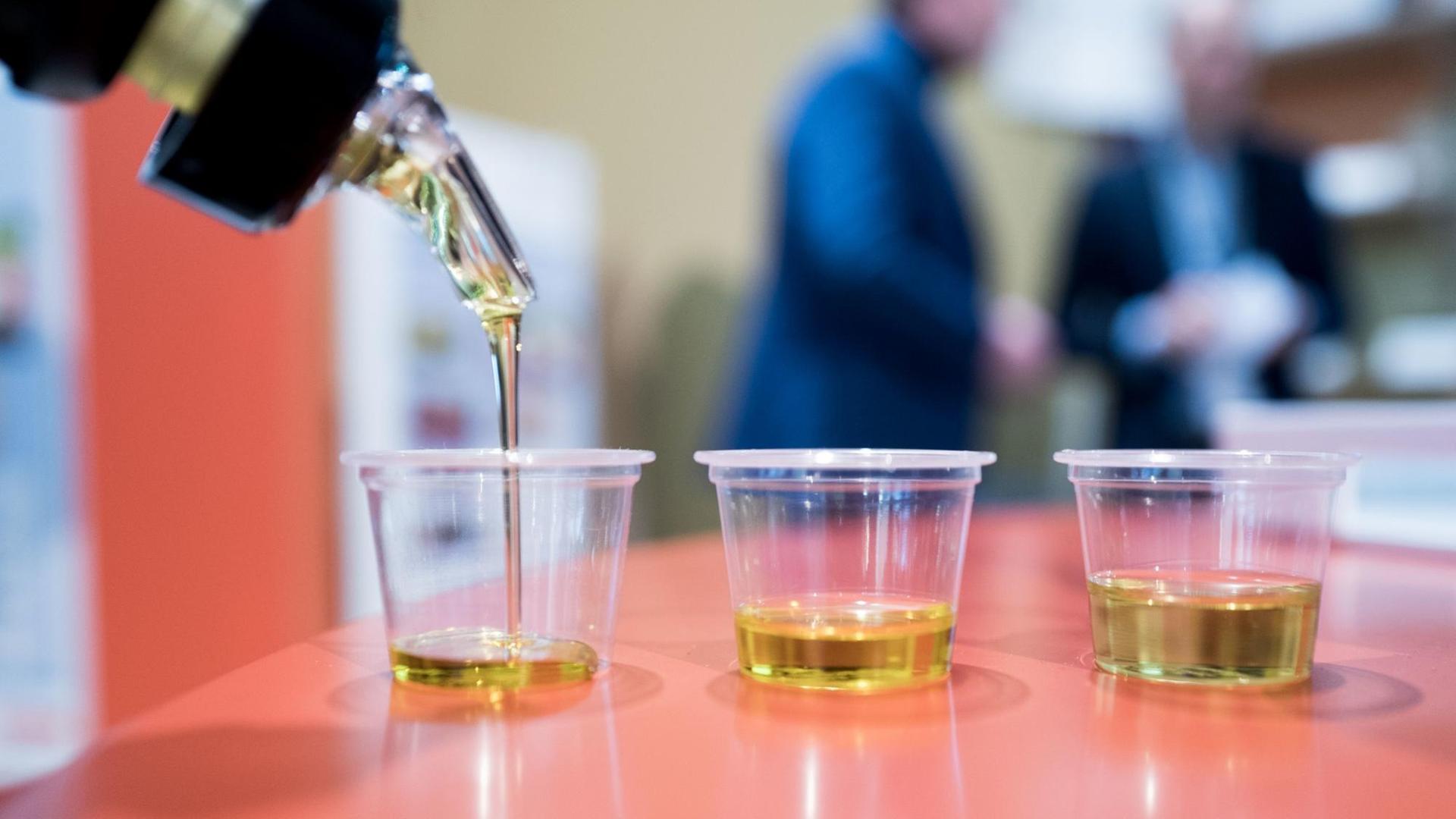 Auf der Grünen Woche werden unterschiedliche Speiseöle am 20.01.2017 in Berlin abgefüllt. Zwei der Becher enthalten Olivenöl, einer enthält Rapsöl.