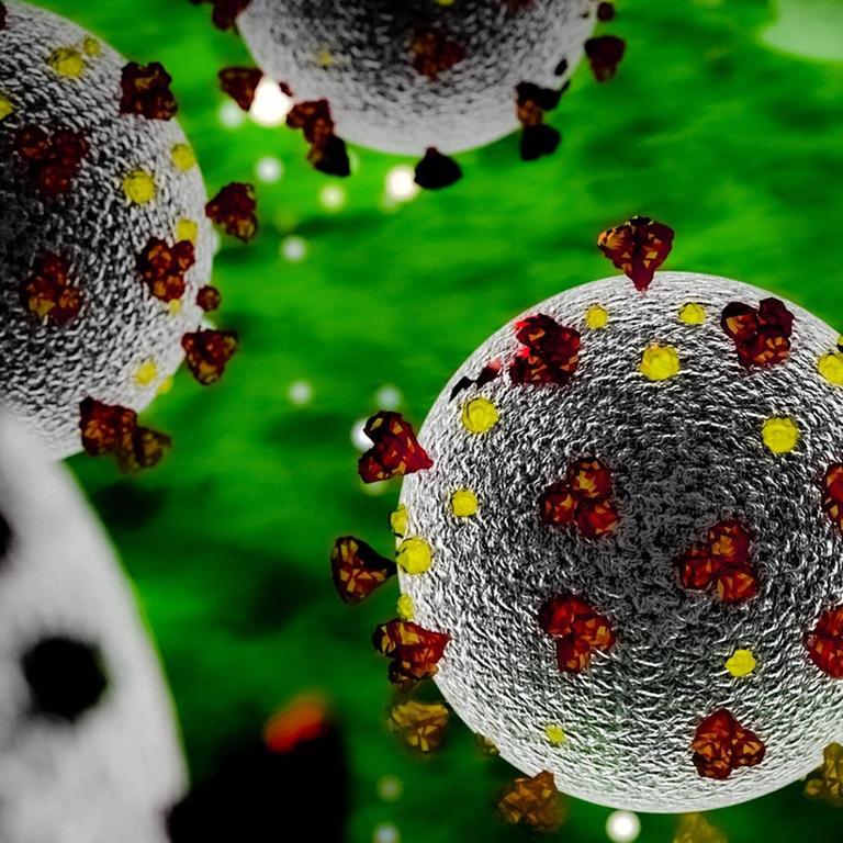 3D-Modell des Coronavirus SARS-CoV2 