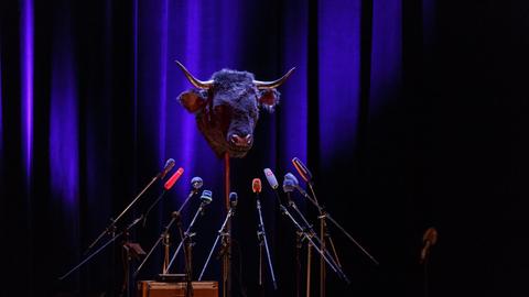 Ein Stierkopf vor Pressemikrofonen