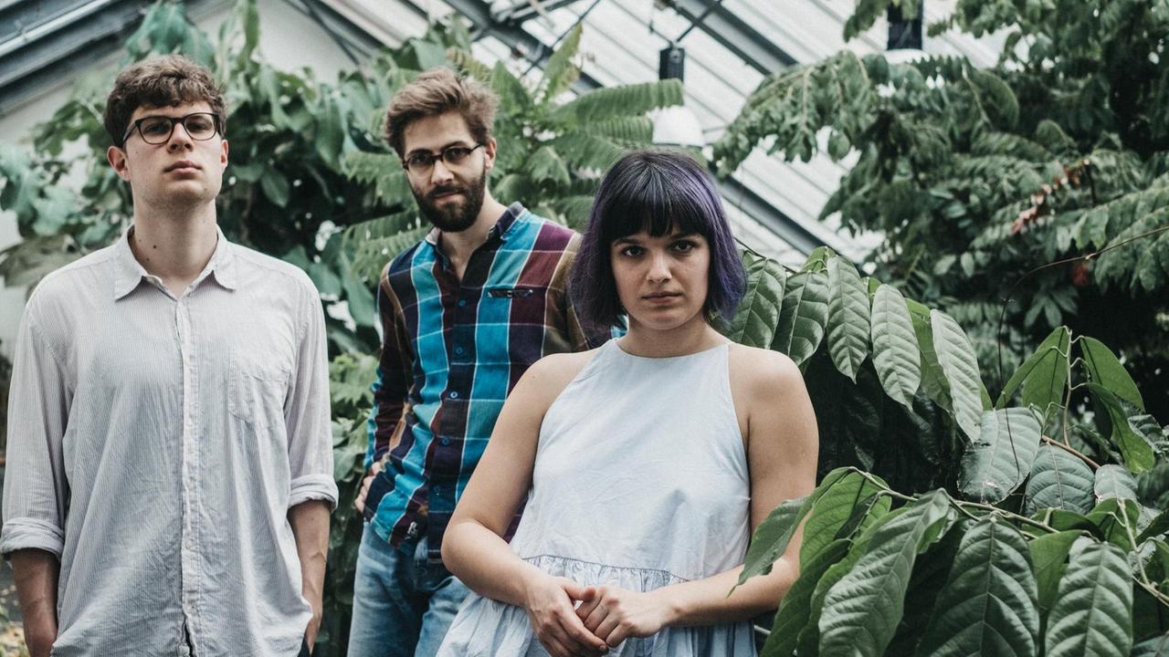 Die drei Jazzer stehen im einem Gewächshaus vor exotischen Pflanzen 