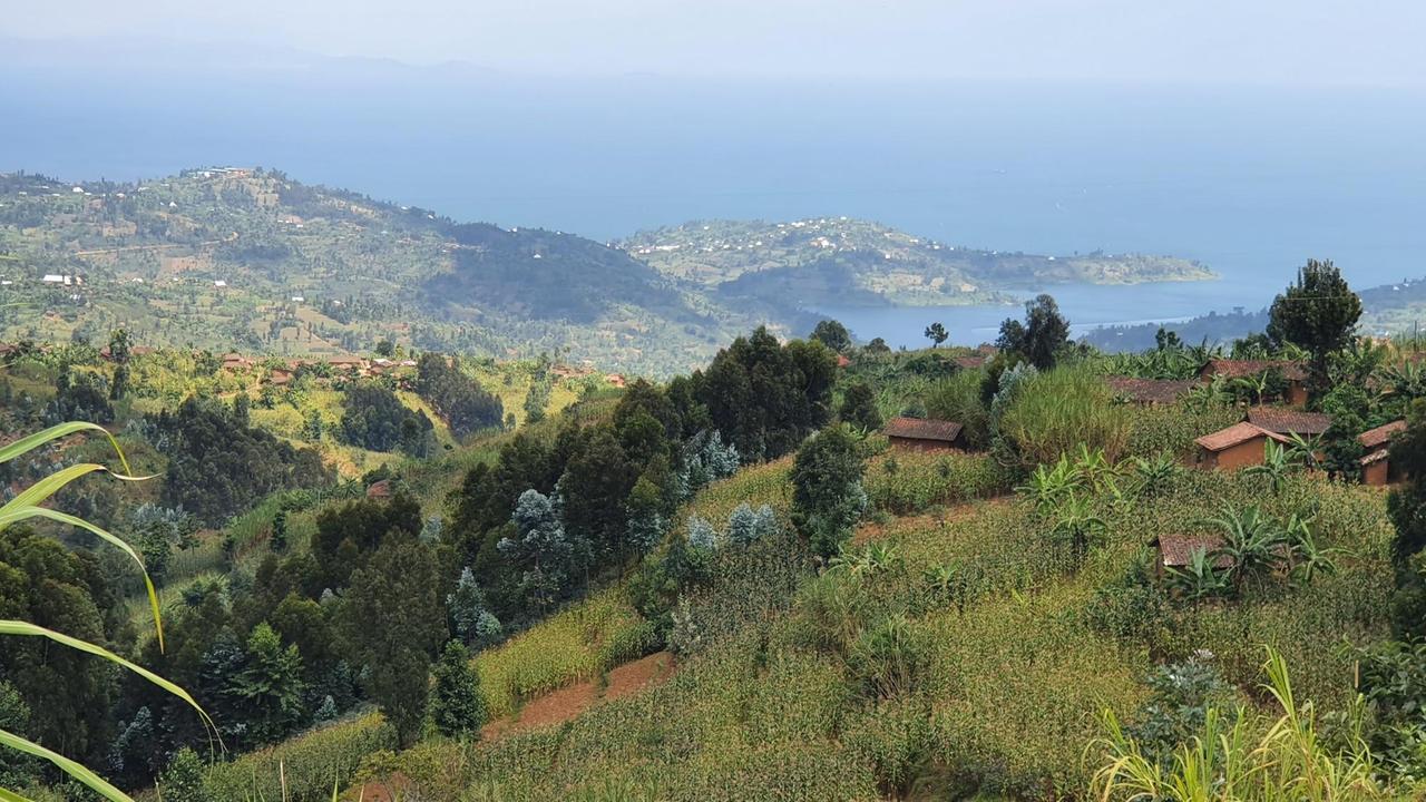 Blick auf das Südufer des Kivu-Sees bei der Stadt Kibuye. Grüne Hügel mit Hütten, im Hintergrund der riesige See.