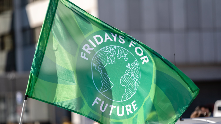 Das Bild zeigt eine grüne Flagge mit der Aufschrift "Fridays For Future"