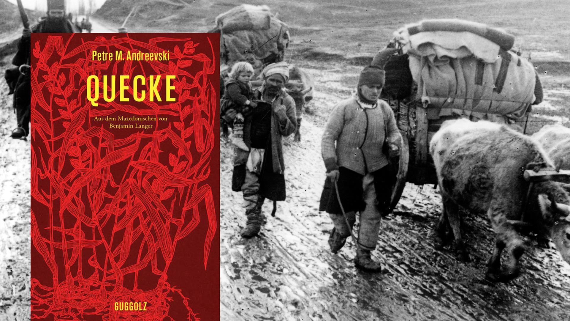 Buchcover Petre M. Andreevski: "Quecke"