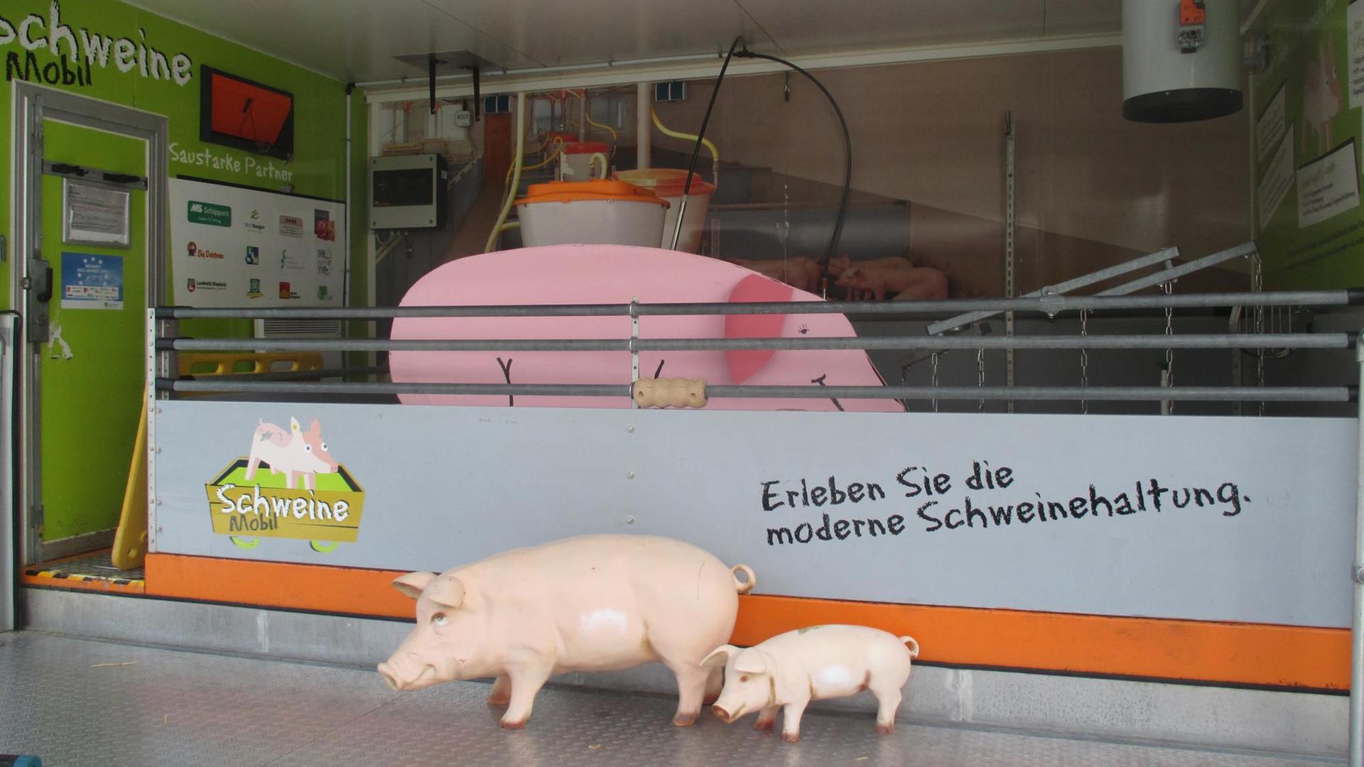 Der gläserne Schweinestall auf dem Katholikentag in Münster