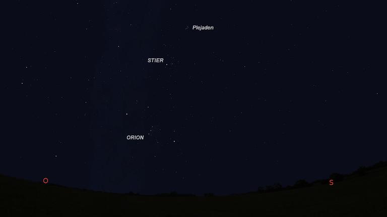 Anblick des Südosthimmels gegen 20 Uhr MEZ: Über dem Orion und dem Stier leuchten die Plejaden