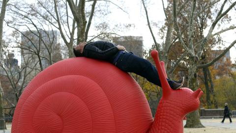 Ein Mann posiert auf einer Rote-Schnecke-Skulptur im New Yorker Central Park. Das Werk ist Teil des Kunstprojekts "Acht große roten Schnecken" der Galleria Ca 'd'Oro und er Villa Firenze Foundation.