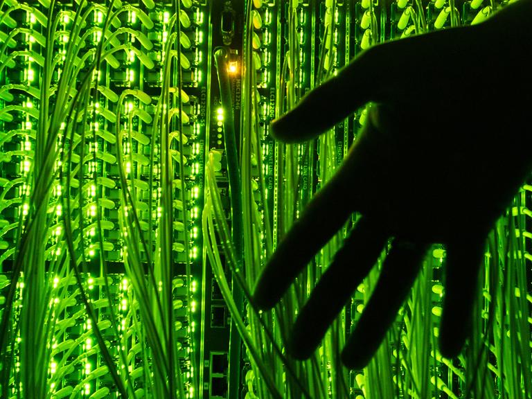 Ein Mann hält am 20.08.2014 in Neumünster (Schleswig-Holstein) seine Hand vor einen Verteilerpunkt, in dem zahlreiche Glasfaserkabel unter anderem zur Übertragung von Hochgeschwindigkeitsinternet zusammenlaufen.