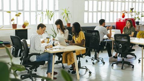 Meschen sitzen in einem loftartigen Büro mit Planzen an ihren Arbeitsplätzen.