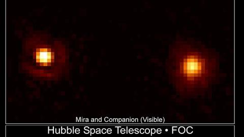 Der veränderliche Stern Mira, aufgenommen mit dem Hubble-Weltraumteleskop.