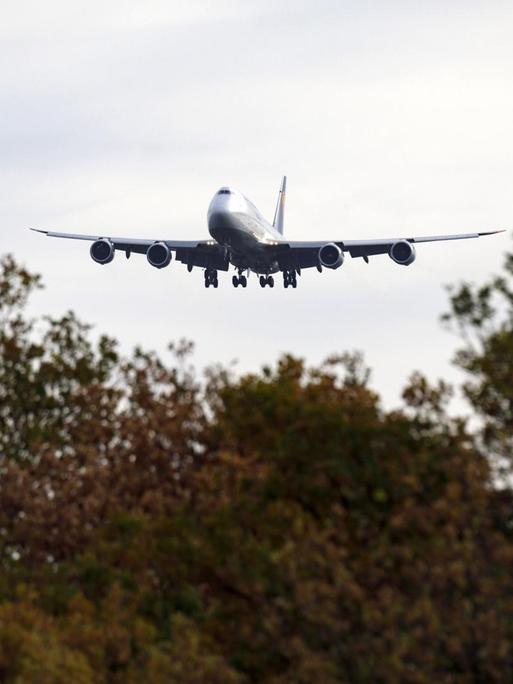 Lufthansa-Flugzeug am Flughafen Frankfurt am Main. Frankfurt, 23.09.2018