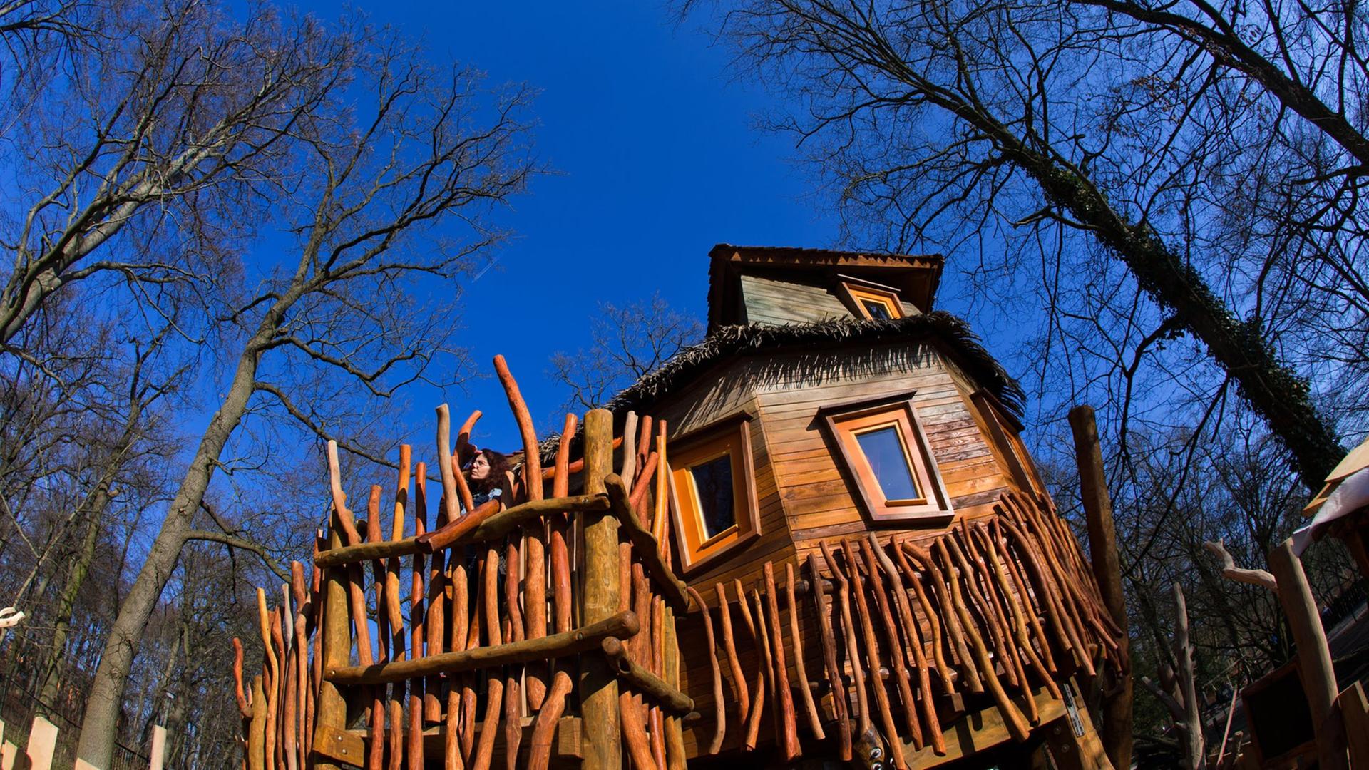 Ein Baumhaus im Stil einer historischen Forscherhütte des Südamerika-Reisenden Alexander von Humboldt (1769-1859) ist am 12.03.2014 im Zoo von Schwerin (Mecklenburg-Vorpommern) zu sehen.