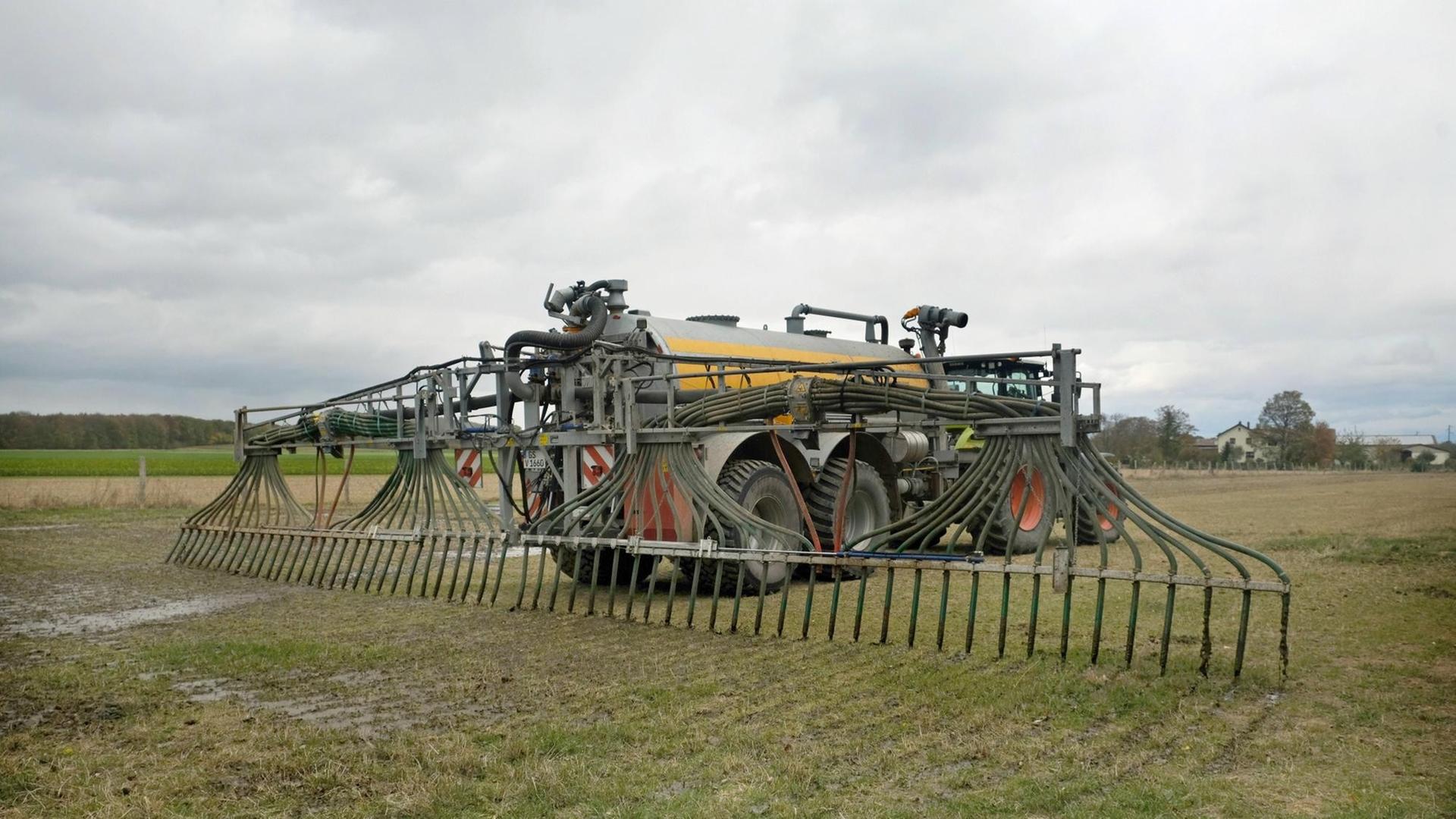 Auf Grasland, in Goslar am Harz in Niedersachsen, bringt ein 13 Tonnen Güllefass der Firma Veenhuis über ein 13 Meter Schleppschlauchgestänge Gülle aus einem Kuhstall direkt ohne nennenswert Verlust in den Ackerboden auf. Damit können auch künftige Gesetzesauflagen und Umweltschutzauflagen erfüllt werden. U.b.z. Traktor mit Güllefass bringt Gülle aus. Gülle auf Grasland ausbringen.