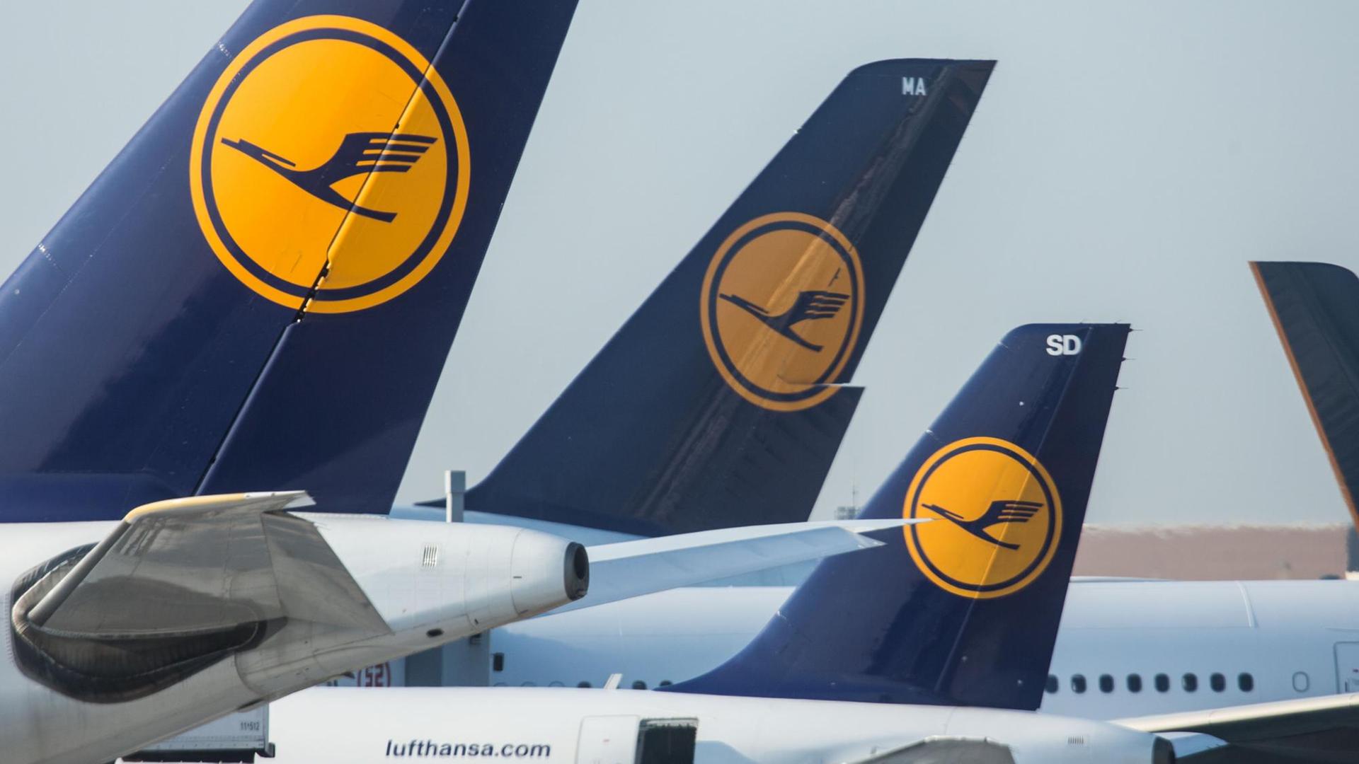 Lufthansa-Maschinen stehen am 09.09.2015 am Flughafen von Frankfurt am Main (Hessen) am Boden. Lufthansa-Maschinen stehen am 09.09.2015 am Flughafen von Frankfurt am Main (Hessen) am Boden.