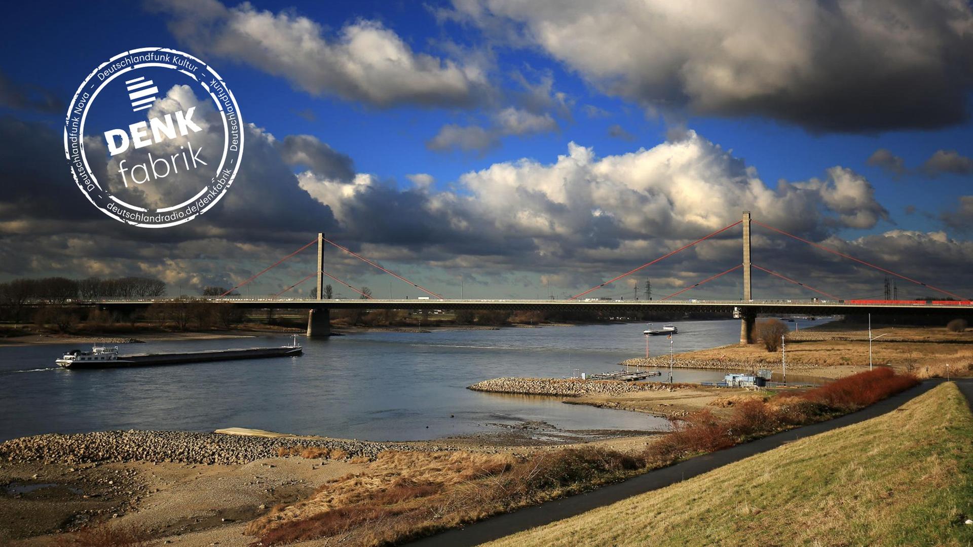 Die Leverkusener Brücke über den Rhein, vom Ufer aus fotografiert
