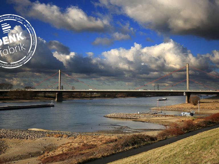 Die Leverkusener Brücke über den Rhein, vom Ufer aus fotografiert