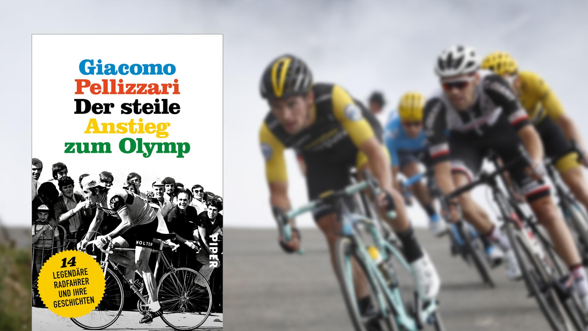 Buchcover: "Der steile Anstieg zum Olymp" von Giacomo Pellizzari