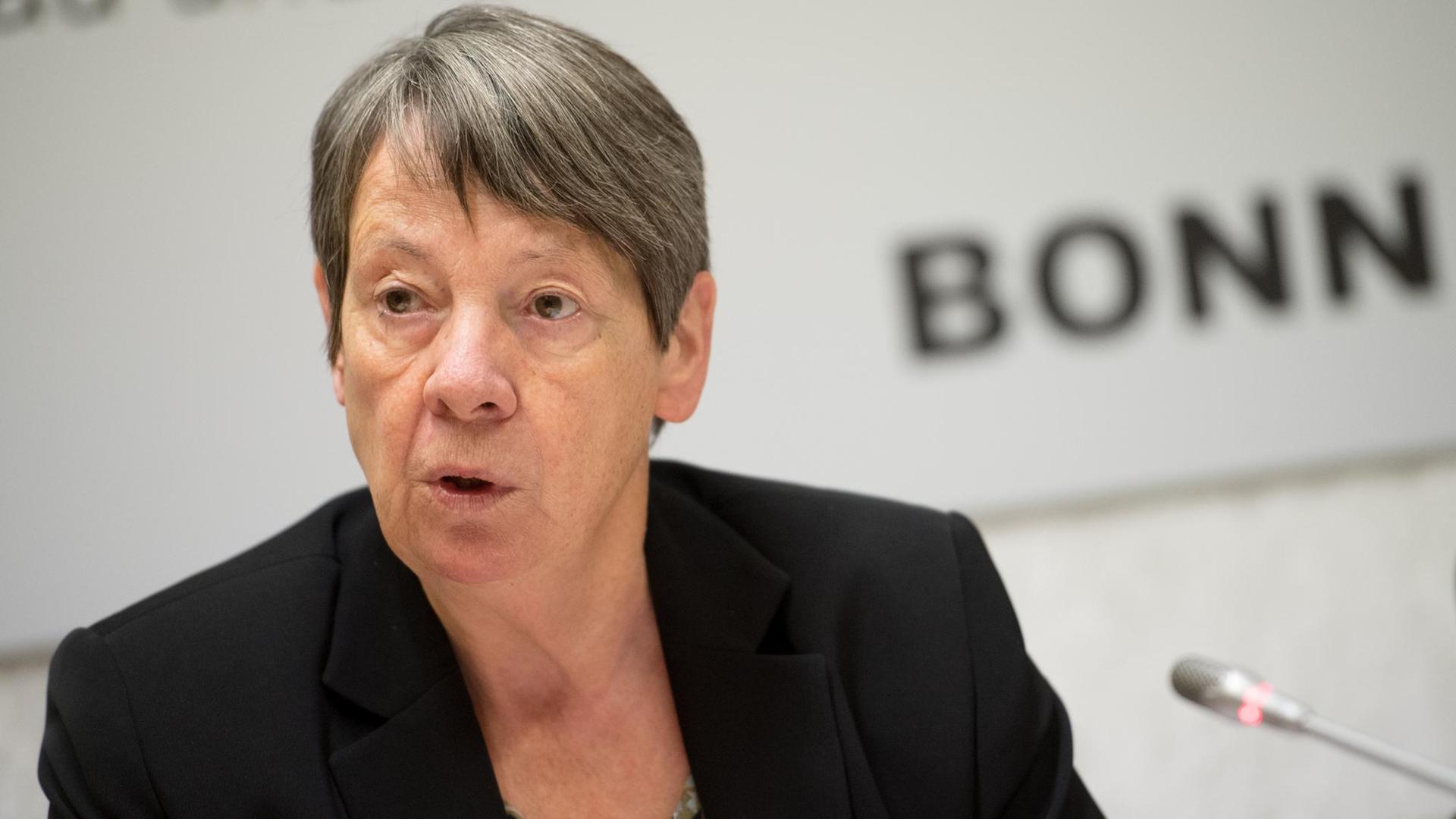 Bundesbauministerin Barbara Hendricks (SPD) spricht während einer Pressekonferenz über den Statusbericht zum Bonn-Berlin-Umzug der Bundesregierung.