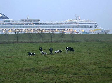 Ein Kreuzfahrtschiff aus der Meyer-Werft in Papenburg befährt die Ems in der Nähe von Leer