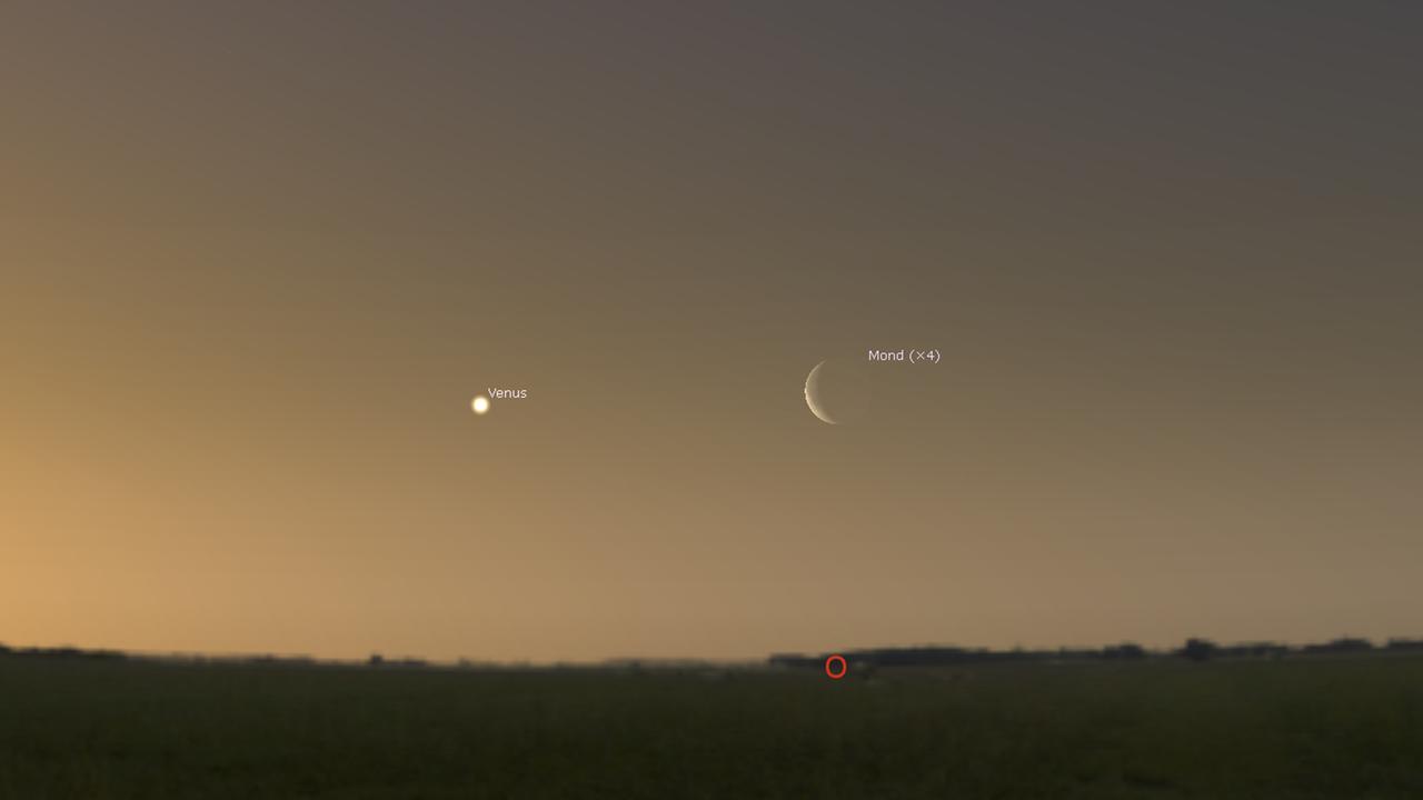 Die Venus und die Mondsichel morgen früh gegen 4 Uhr am Osthimmel.