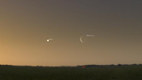 Die Venus und die Mondsichel morgen früh gegen 4 Uhr am Osthimmel.