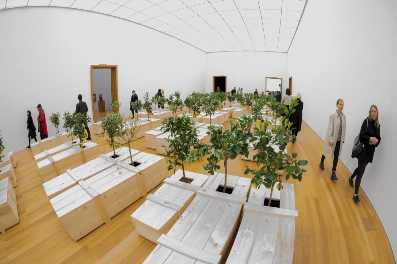 Ein Ausstellungsraum gefüllt mit Menschen und mit Zitronenbäumen die aus Holzkisten wachsen.