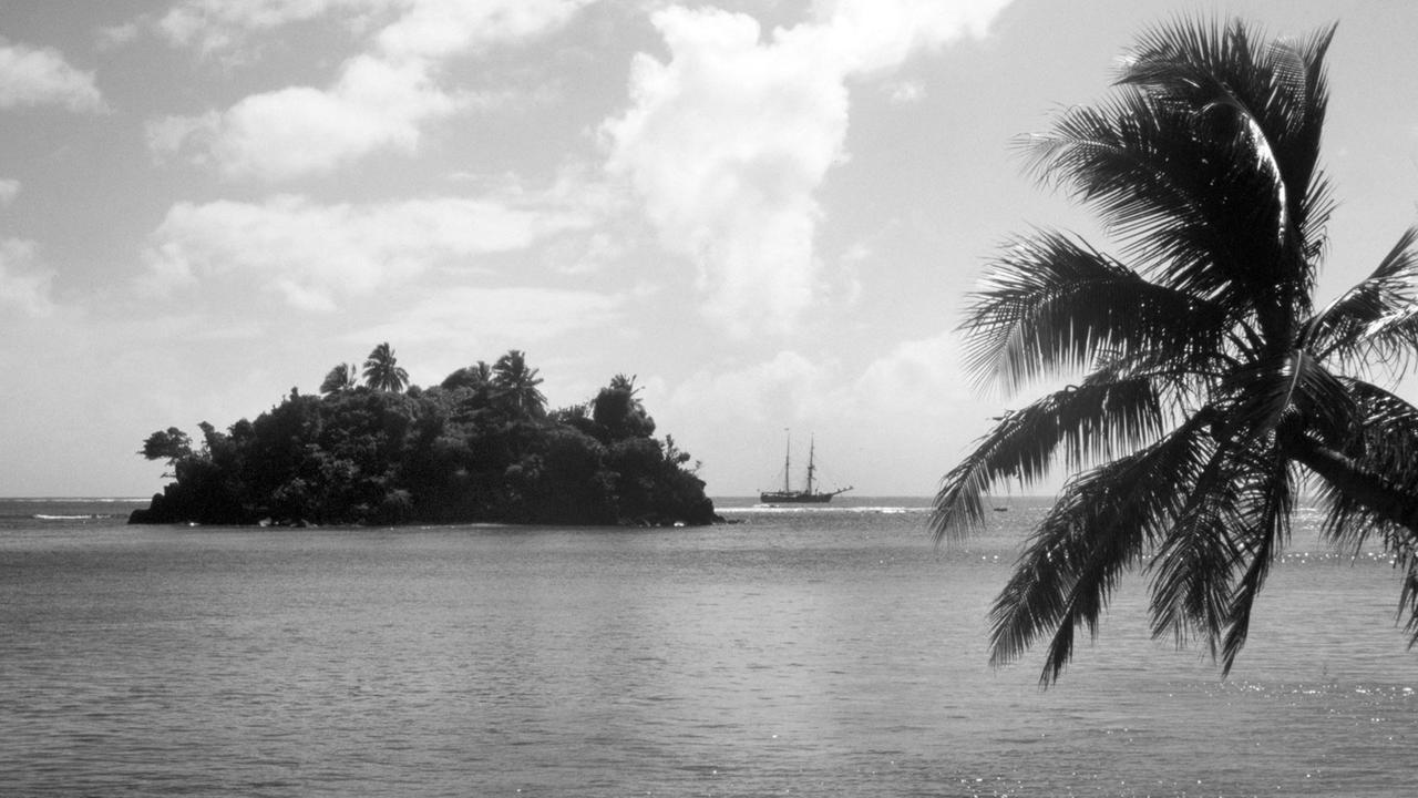 Palmenidylle mit Blick auf eine vorgelagerte Insel mit üppiger Vegetation.