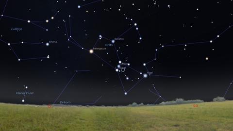 Der Asteroid Glo steht in diesen Nächten zwischen Gürtel und Schwert des Orion